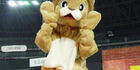 Fukuoka Auto Salon - image-20061902-26